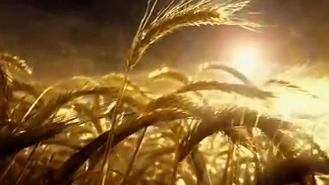 CASTLE LAGER - SACRIFICE.mpg